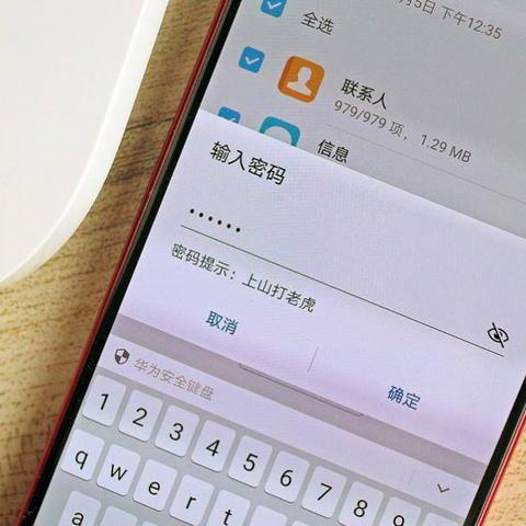 忘记密码怎样能查看聊天记录？全面解析与实用指南