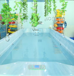 浙江省早教游泳加盟条件