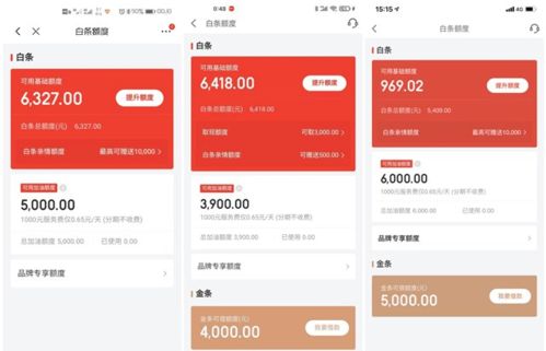大连京东白条套出攻略，实用指南与案例分析