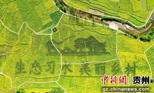 乡村振兴示范创建如何成为标杆？从规划到落地全攻略