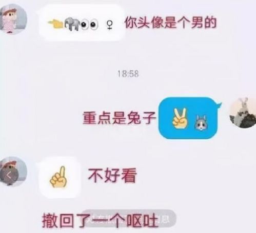 怎么破解密码与查询聊天记录，揭秘隐私保护与信息安全的挑战