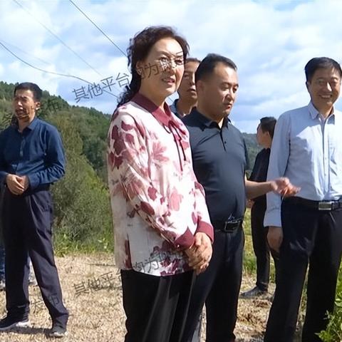 如何合法查询酒店开房信息？这份指南帮你避坑