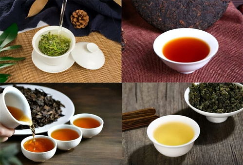 山东十大优质茶叶品牌推荐，从崂山绿茶到日照红茶，喝出齐鲁风土人情