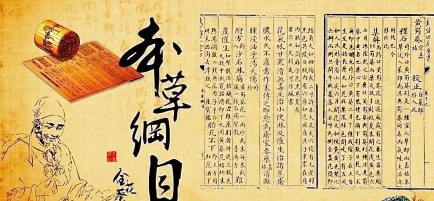 本草纲目—传统医药的智慧宝库