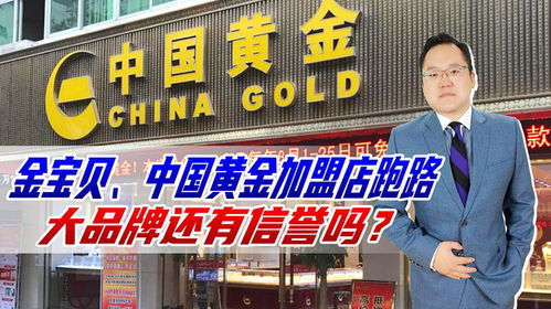 株洲腻子加盟店品牌推荐及案例分析