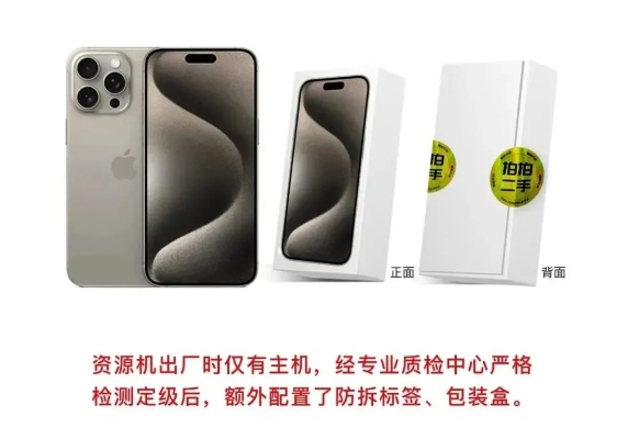 儋州京东白条套现真相，陷阱还是机遇？揭秘背后的风险与应对