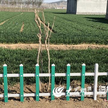 乡村振兴，从土到潮的华丽蜕变