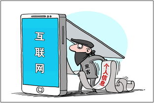 揭秘身份证查询开房信息，隐私保护与信息安全的双刃剑