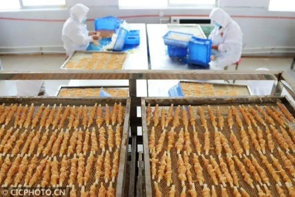 日照猫宠物零食，从渔村小作坊到网红品牌的逆袭之路