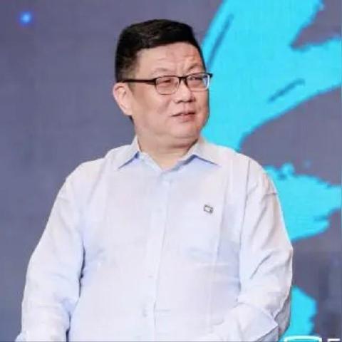 杀车品牌，低价策略背后的生存法则与市场陷阱