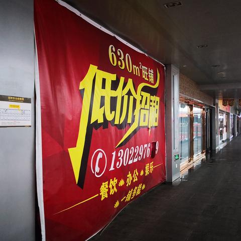 杀车品牌，低价策略背后的生存法则与市场陷阱