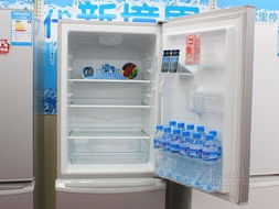 中国十大双开门冰箱品牌全解析，选购指南与避坑技巧