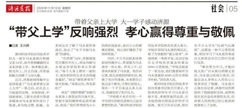 大学生当乡村干部的生存指南，从菜鸟到能手的五步进阶