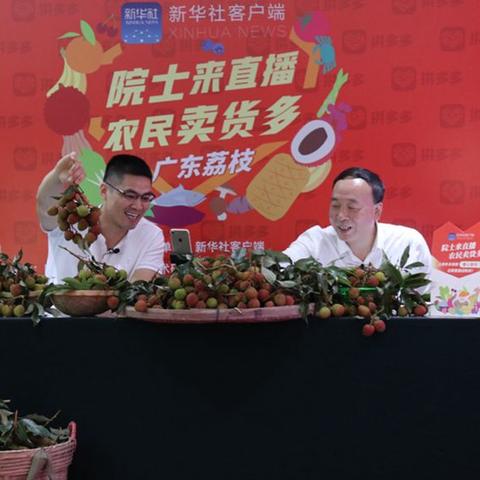 桃多多桃享卡额度使用指南