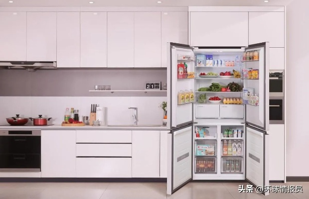 窃入冰箱十大品牌全解析，从选购技巧到避坑指南