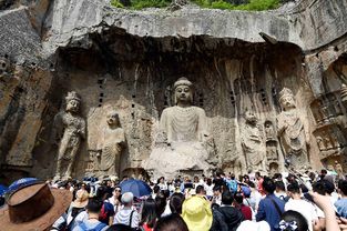 洛阳旅游必打卡！龙门石窟到底有多绝？这份保姆级攻略请收好！