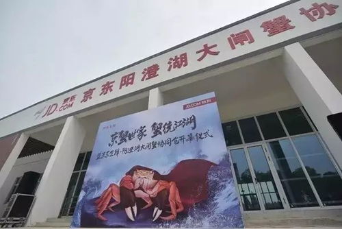 京东电脑休闲品牌店，一站式购物体验，打造你的数字生活
