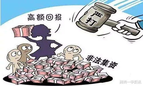 被骗钱别慌！手把手教你追回损失的实用指南