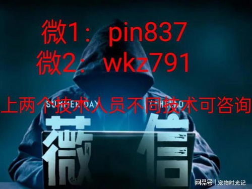 揭秘正规黑客24小时私人接单，安全与风险并存