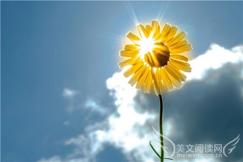 美丽乡村干部的三把金钥匙，脚下沾泥、心中有光、手中有术