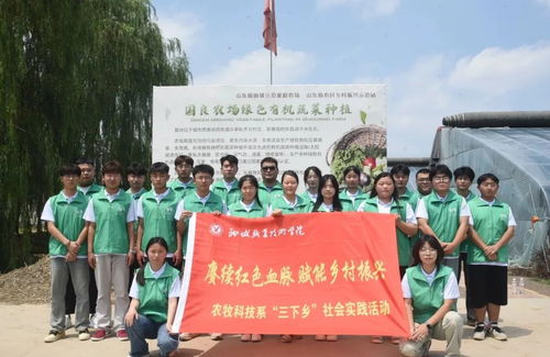 扎根乡土担使命—新时代乡村干部成长路径探析