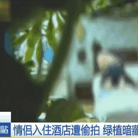 查开房记录网上乱象大揭秘，这些坑千万别踩！