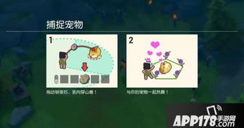 手把手教你玩转羊小咩便荔卡，从入门到精通的套现全攻略