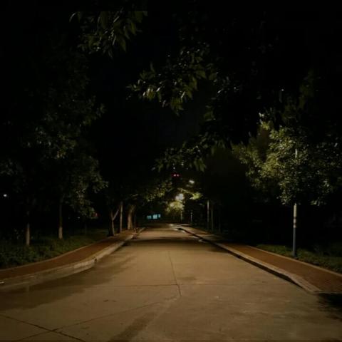 四年级也能画得超棒！乡村夜晚图创作全攻略