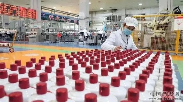 白酒品牌怎么选酒厂生产？这5个关键点帮你避坑指南