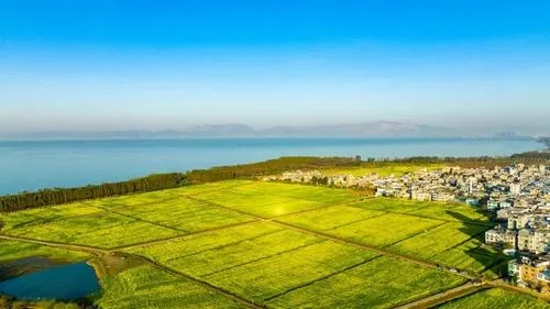 乡村大面积湖泊开发，生态与经济的双赢之道
