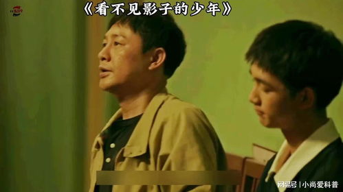 草根逆袭记，赵四如何从混混变身乡村副总？这份操作手册能让你少走十年弯路