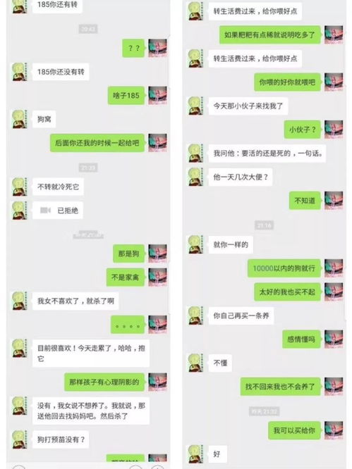 关于老公的微信聊天记录怎么查看的探讨—百度知道式解析