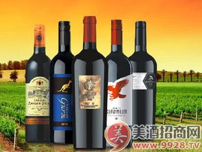 三升源红酒加盟热门品牌大盘点