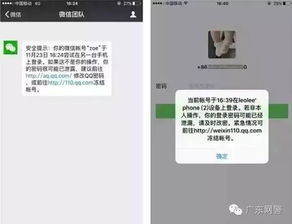 盗取男友QQ密码与聊天记录的非法行为及其后果