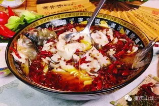 汉寿麻辣鱼火锅加盟品牌大盘点