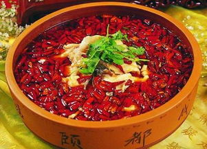 汉寿麻辣鱼火锅加盟品牌大盘点