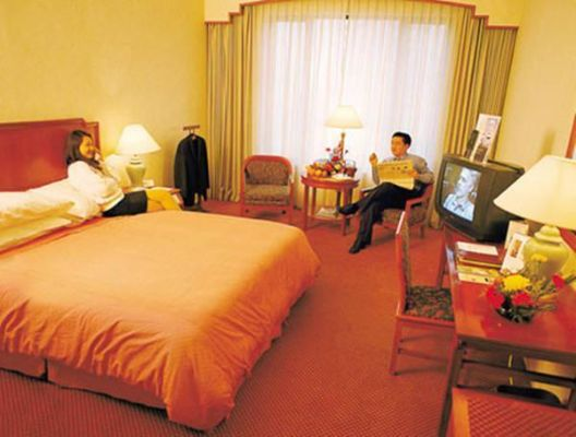 揭秘查婚外情酒店入住记录，真相背后的故事与细节揭秘
