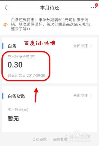 京东白条代付提现全攻略，手把手教你轻松提现，附避坑指南