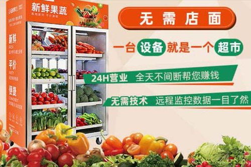 线上蔬菜加盟店热门品牌推荐