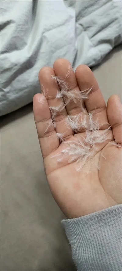 鸭绒被晒太阳全攻略，冬天晒不晒？多久一次最科学？