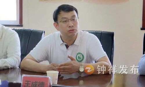 探索全球医药品牌的力量与影响