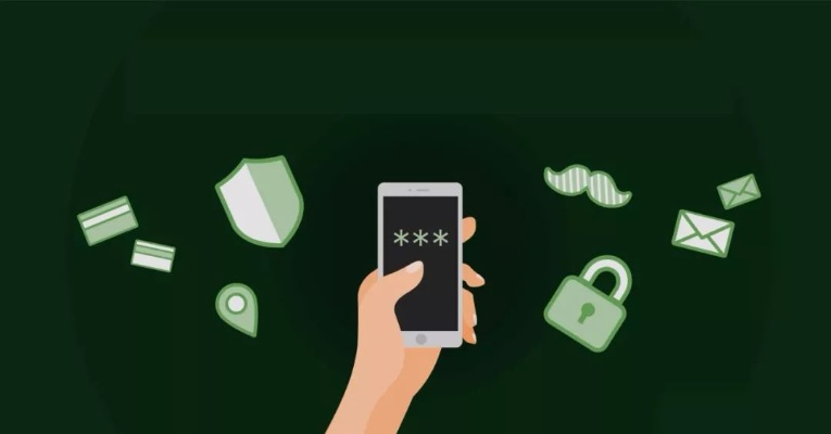 公安网能查开房记录，隐私保护与网络安全的平衡之道