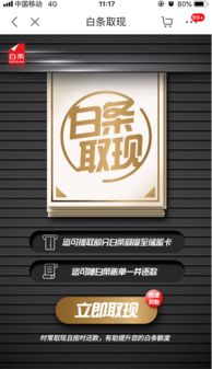 攀枝花京东白条取现全攻略