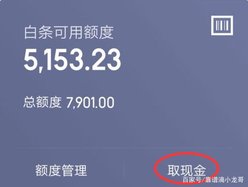 攀枝花京东白条取现全攻略