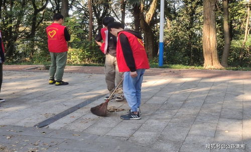 温州品牌汽车职业装修服务概览
