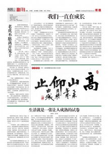 博德陶瓷是品牌吗？一篇全面解析告诉你答案