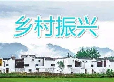 乡村振兴中的领导力量，从顶层设计到基层实践