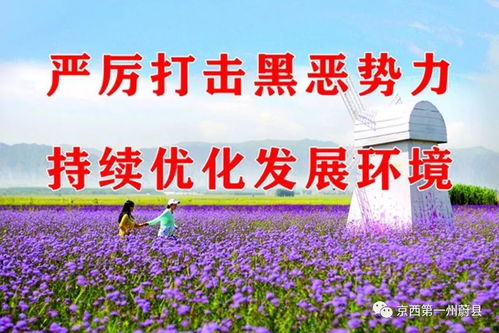 乡村振兴中的领导力量，从顶层设计到基层实践