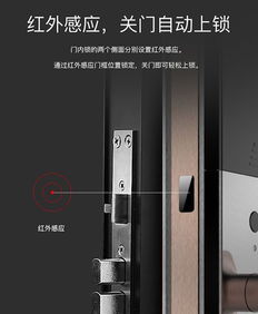 酒店检查门锁记录全攻略，一步步教你如何查询与解读