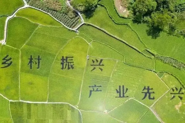 乡村振兴新引擎，乡村集体经济产业发展的破局之道